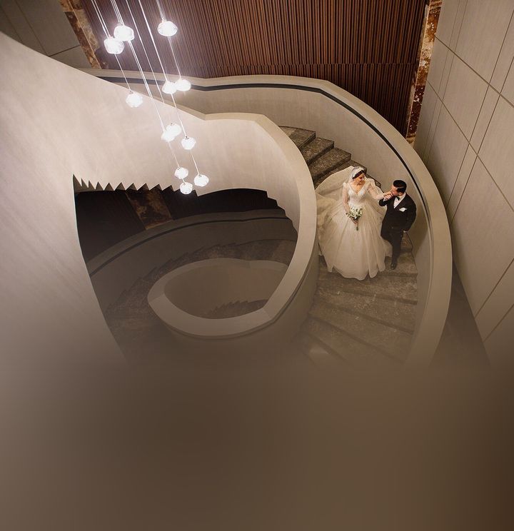 Karınca Fotoğrafçılık