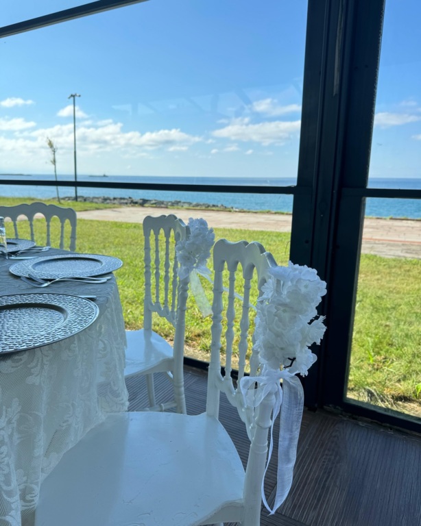 Sihirli Zamanlar Organizasyon