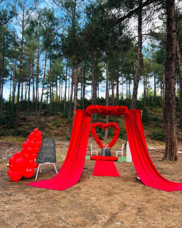 Monalisa Organizasyon