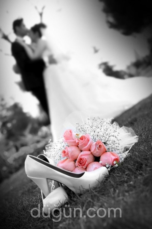 Elit Prestij Fotoğrafçılık ve Organizasyon