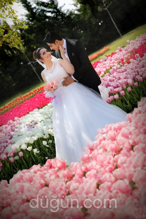 Elit Prestij Fotoğrafçılık ve Organizasyon