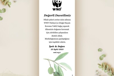 image-2329578