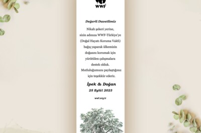 image-2329576