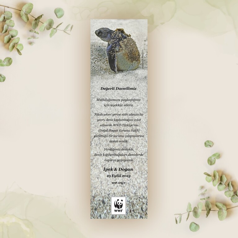 Doğal Hayatı Koruma Vakfı (WWF Türkiye)