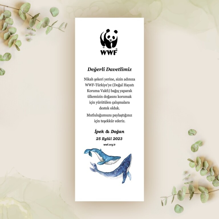 Doğal Hayatı Koruma Vakfı (WWF Türkiye)