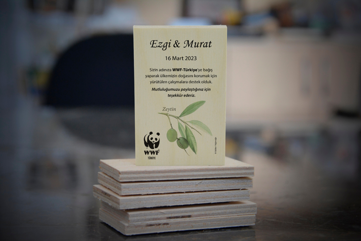 Doğal Hayatı Koruma Vakfı (WWF Türkiye)