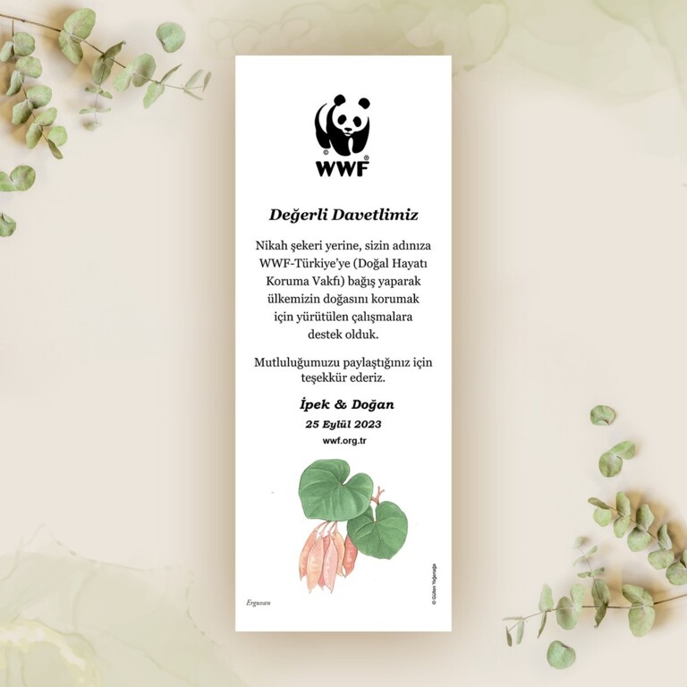 Doğal Hayatı Koruma Vakfı (WWF Türkiye)