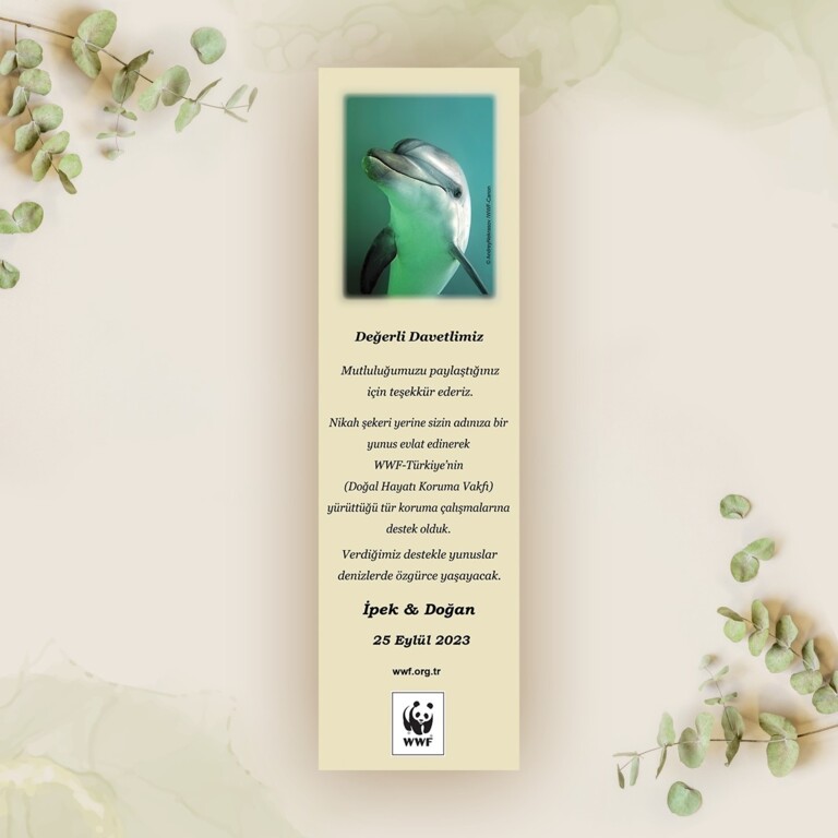 Doğal Hayatı Koruma Vakfı (WWF Türkiye)