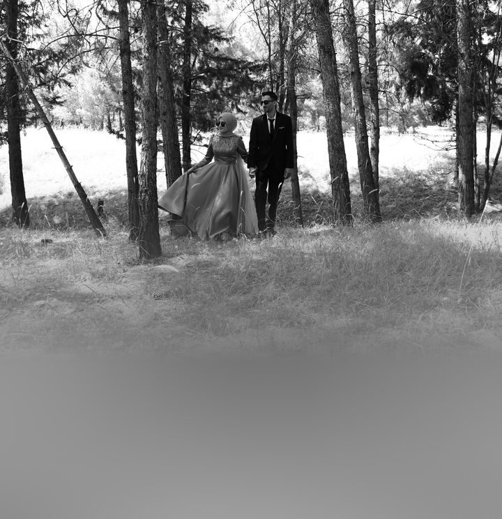 Sanat Foto ve Video
