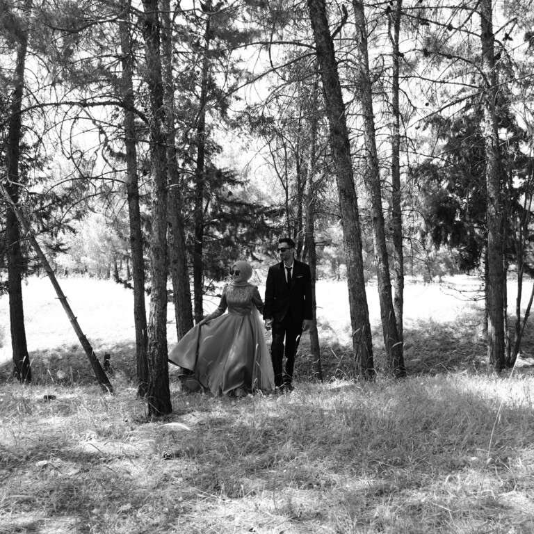 Sanat Foto ve Video