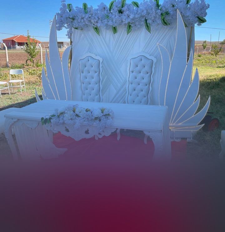 Çam Organizasyon Kırşehir