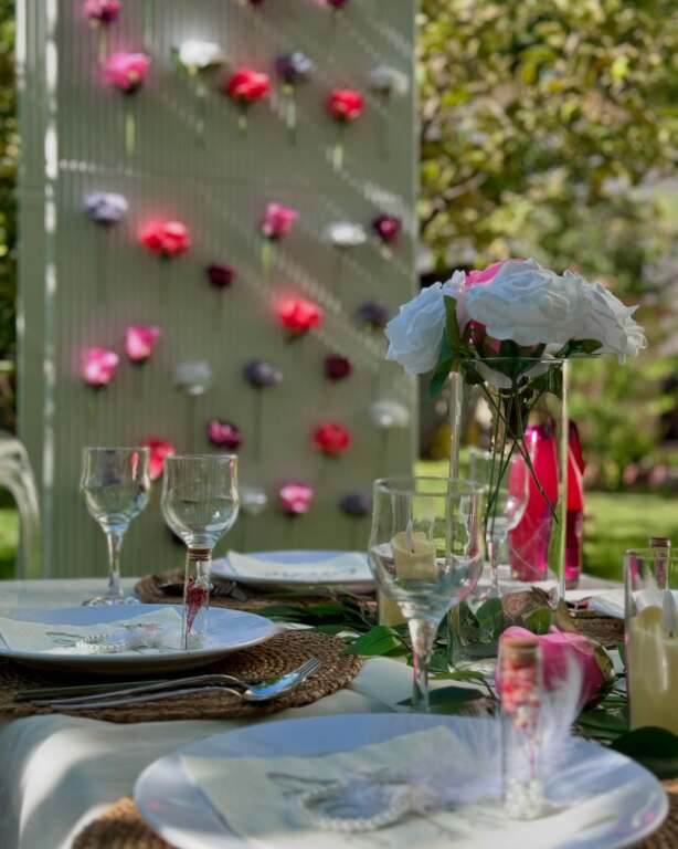 Sarmaşık Organizasyon