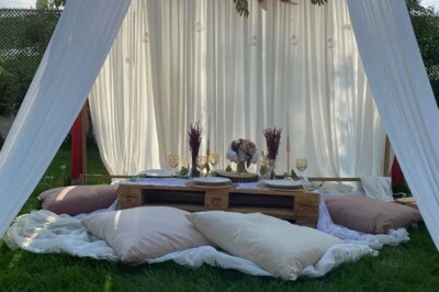 Palmiye Organizasyon