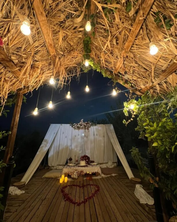 Palmiye Organizasyon