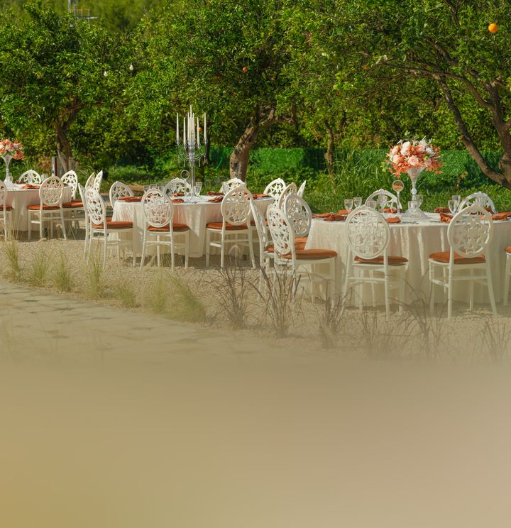 Kali Wedding Antalya