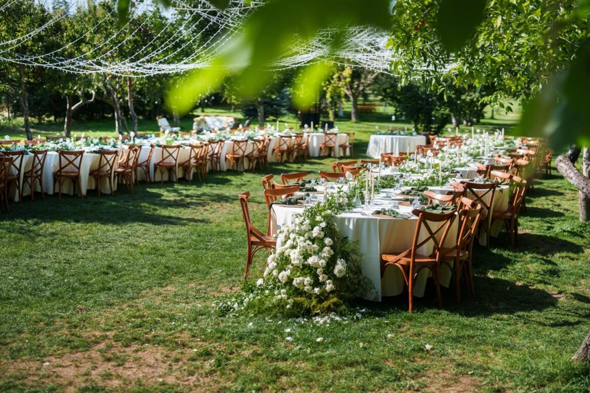 Zeta Devrez Zekeriyaköy