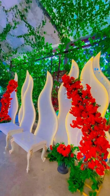 My Dreams Organization