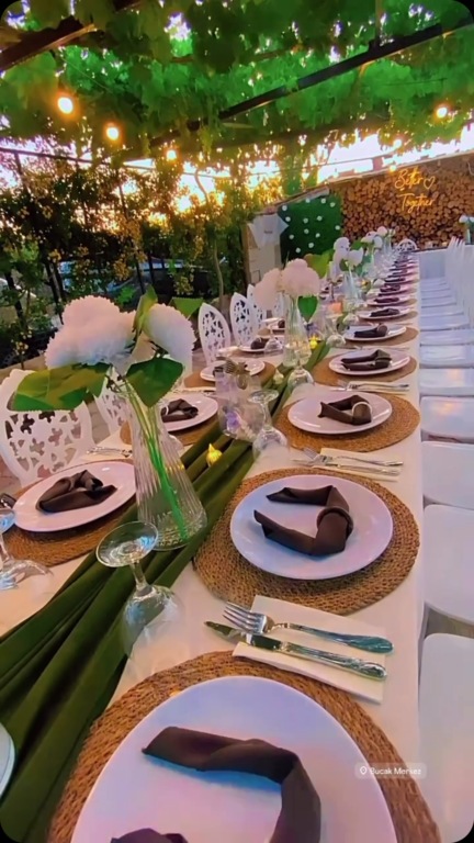 My Dreams Organization