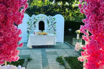 Lalinya Organizasyon