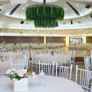Vera Wedding 