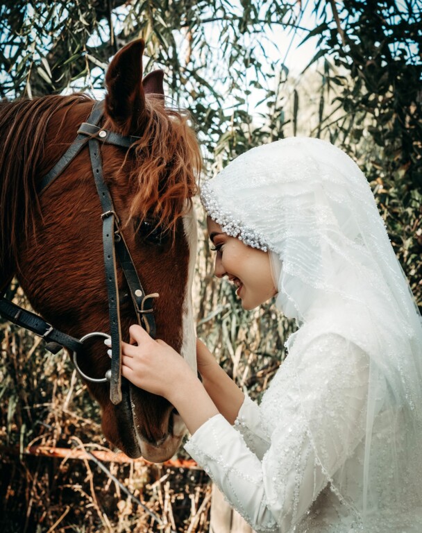 Foto Kral Kırıkkale