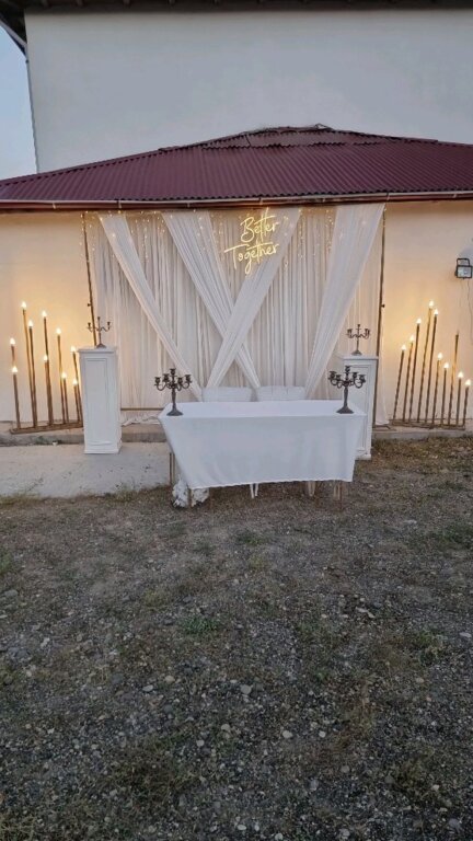 Holland Organizasyon