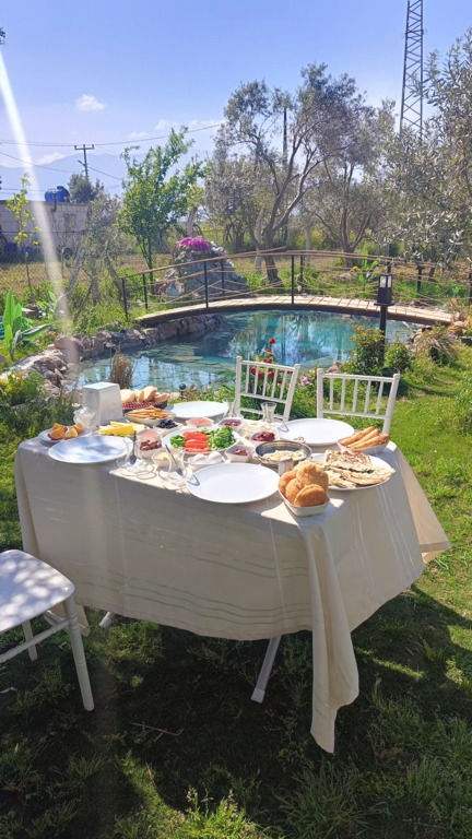 Melisa Garden