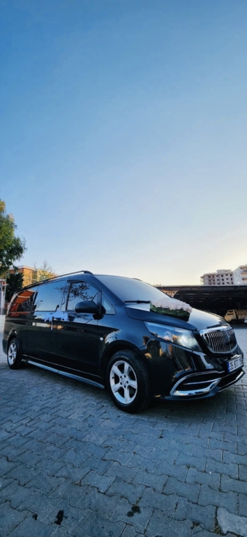 Bingoo Vip Transfer