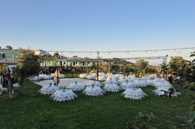 Datlım Zeytinli Bahçe