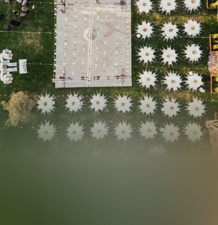 Datlım Zeytinli Bahçe