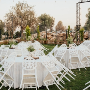 Datlım Zeytinli Bahçe