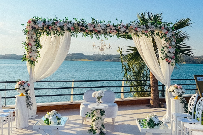 Lotus Park Event