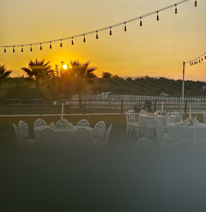 Lotus Park Event