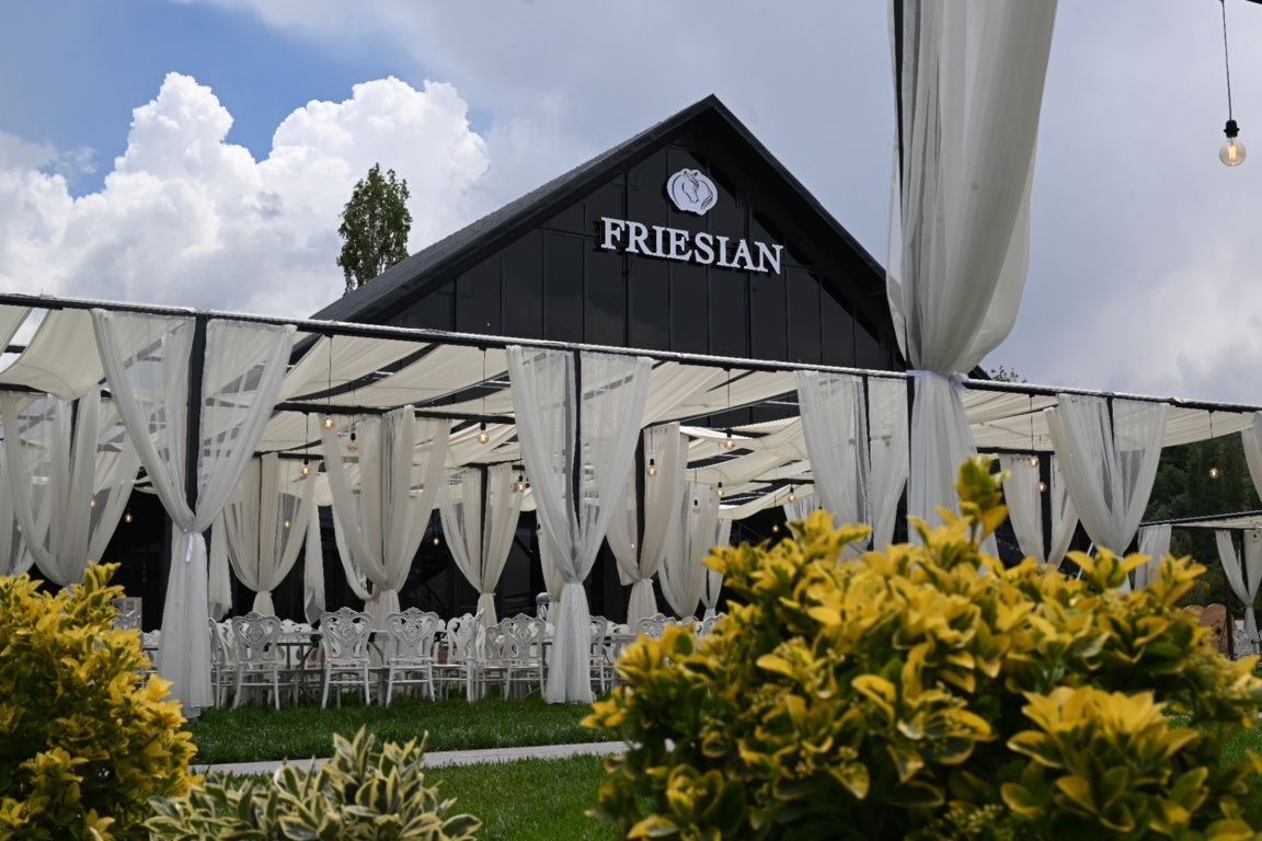 Frıesıan