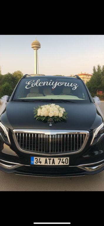 Almira VIP Transfer