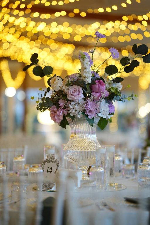 Haflinger Çiftliği