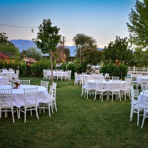 Haflinger Çiftliği