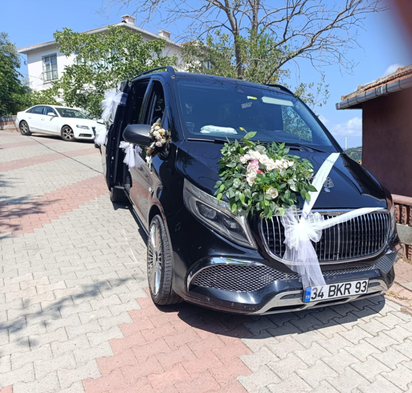 Vip Of Travel