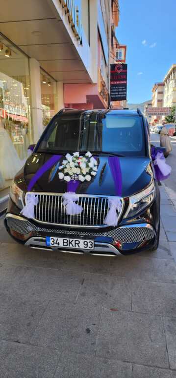 Vip Of Travel