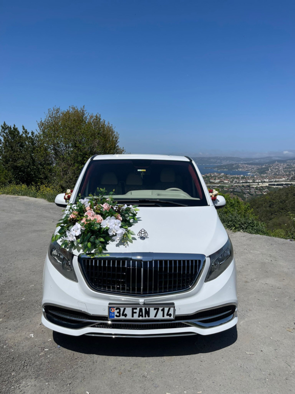 Vip Of Travel