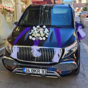 Vip Of Travel
