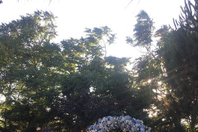 image-2408465
