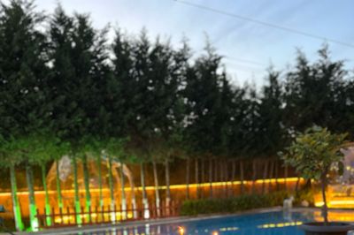 Rüzgarın Evi Organizasyon