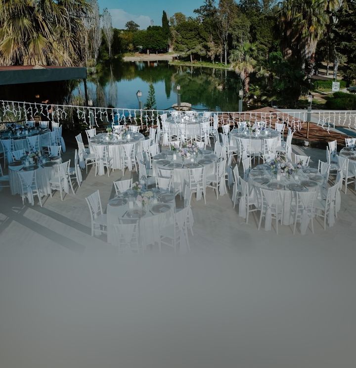 The Pond