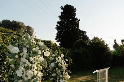 image-2580773