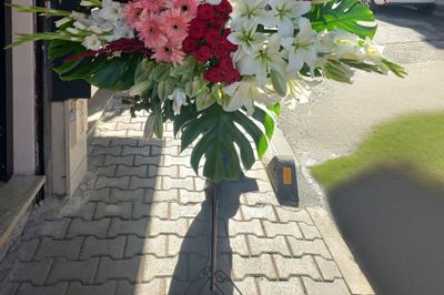 image-2418188