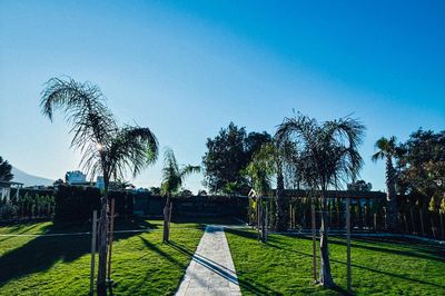 Çınar Garden Wedding House & Event