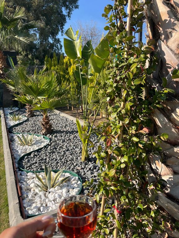 Çınar Garden Wedding House & Event