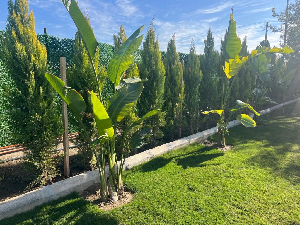 Çınar Garden Wedding House & Event