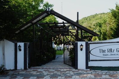 image-2420073